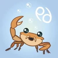 2025年12星座运势深度拆解：每月运程关键指南