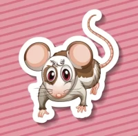 生肖运势测算2025年免费：精准预测你的生肖运程