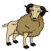 婚后的白羊座今日运势，婚后白羊座今日运势如何