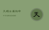 天蝎女属狗命今日运势(20240629)