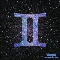 双子座虎今日运势最新(20240616)