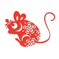 2025年十二生肖运势全解析：精准预测速览！