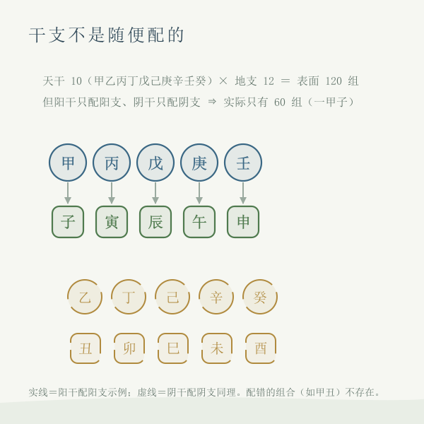 干支合法组合六十与一百二十的对比插画